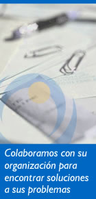 Consultoria y asesoramiento informatico